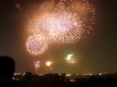 江戸川の河川敷で花火見物