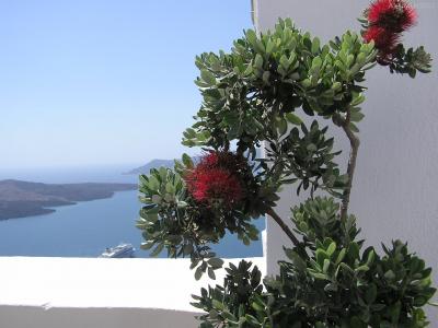 ギリシャ（アテネ＆サントリーニ島）の旅【No22】～イパパンティス通りの教会からホテルへ