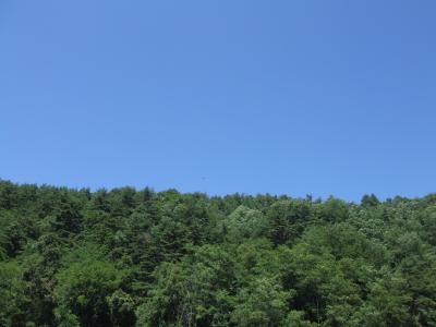 Day Camp? 富士見近辺編