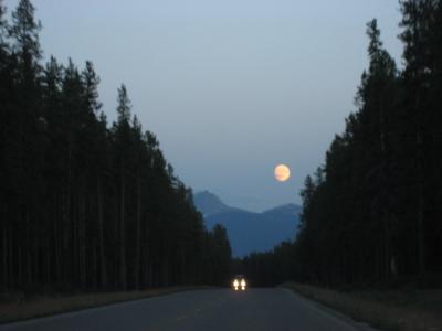 【カナディアンロッキーの旅(29)】スパイラルトンネルで列車通過!