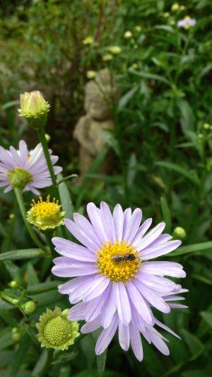 福岡&大分&熊本2007(全5日間)2