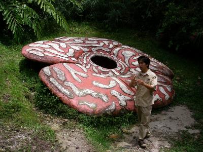 キナバルに来なよ!（キナバル州立公園）』キナバル公園周辺(マレーシア)の旅行記・ブログ by やまひでさん【フォートラベル】