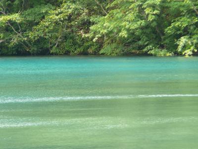 奥志賀の夏を楽しむ