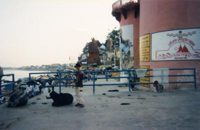 中国でスラれてインドへ流れ着いたのだ！