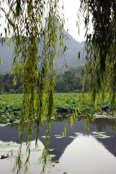 【桂林旅遊】ＯＨ！気持ちいいぞ！陽朔の筏下りと印象劉三姐