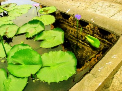 2007 Adventure in the Middle-east/Additionaltrip-Thailand-Bangkok2