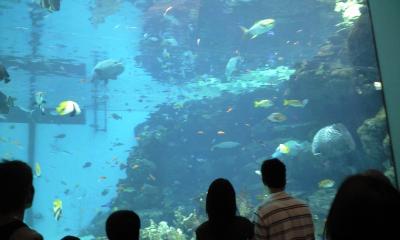 名古屋港水族館／名古屋港イタリア村