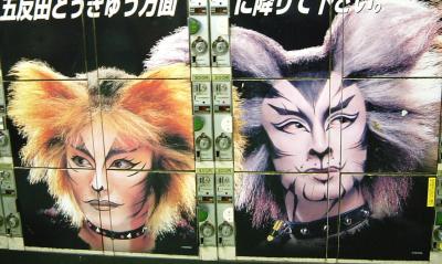 ミュージカル「CATS」観賞　東京都品川区東五反田２−１８−１