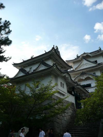 甥っ子たちと伊賀上野公園