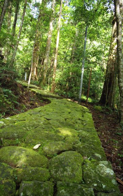 2007三重～川遊びと熊野古道（初級）～?