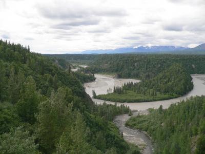 大自然アラスカの旅?