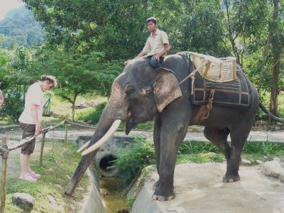 ランラン♪♪ランカウイ 4 (1~6日目)