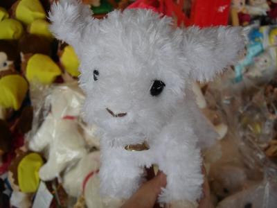 夏の六甲で動物たちと遊ぶ☆～兵庫