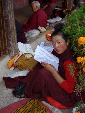 『フウテンのトラ太郎』旅に出る　　2007年８月　チベット　苦行編 　8/11?