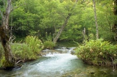 上高地でハイキング