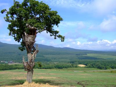 大好き!十勝?連発(その?)~ナイタイ高原牧場編~