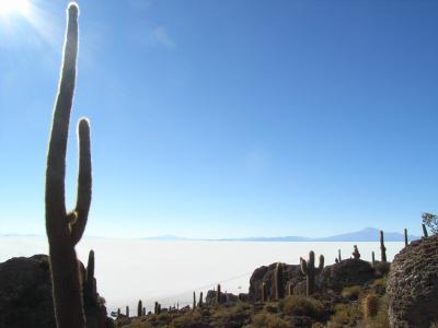 2007・8　南米の旅：ボリビア（２）