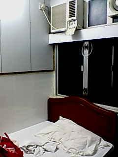 老婆餅と物欲、重慶マンションのあえぎ声