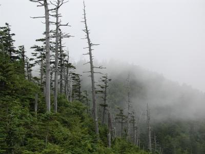 初秋の草津白根山