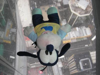 グーちゃん、ニュージーランドへ行く！（スカイタワー編）