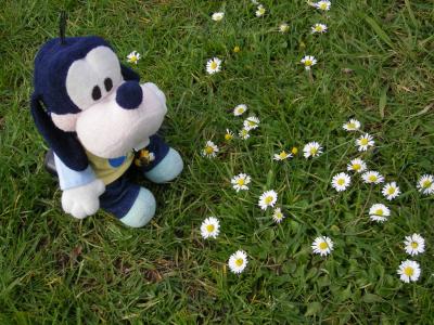 グーちゃん、ニュージーランドへ行く！（ワン・トゥリー・ヒル編）