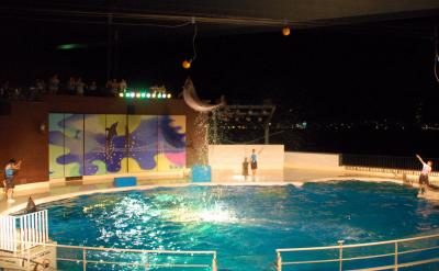 Come on☆関門・九州⇔本州行ったり来たり