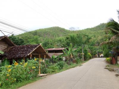 蛍を見にパイへ、、、。