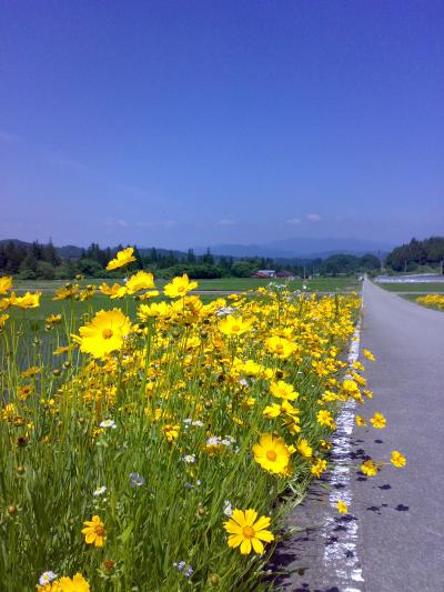 【　気になりつつも、飛騨高山　】