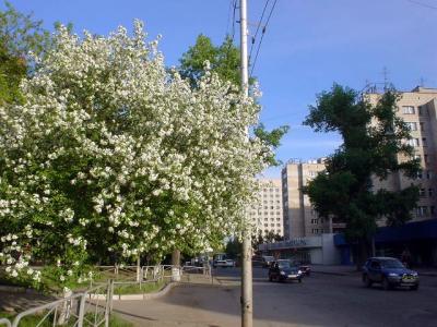 ロシア１０：　シベリア　春　「極寒のノボシビルスク」