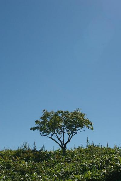 釧路・カヌー・外乗～摩周湖・阿寒湖・屈斜路湖