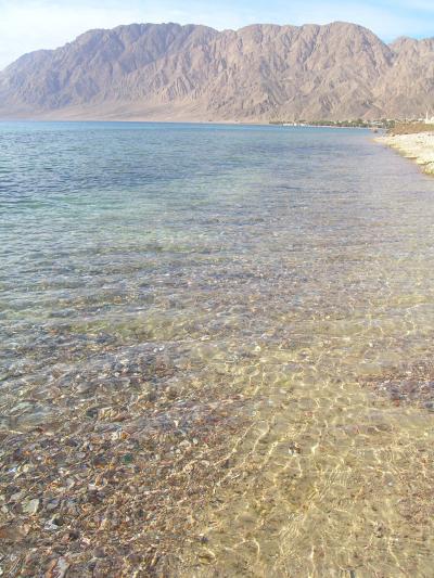 カイロ~ヌエバァそしてボートで目指すはヨルダン!