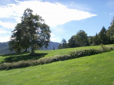 ホテルグランフェニックスの休日