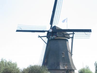 オランダ・ベルギ-紀行　?　（オランダ編）