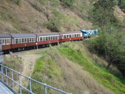 オーストラリア大自然満喫の旅8日間 ■3日目:キュランダ観光+動物探検ツアー