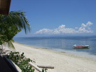 マクロ天国セブ