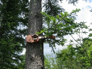 山中湖テデイベアミュージアム