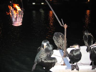 夏休み阿蘇・日田旅行記２日目