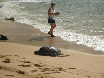 2007 Hawaii☆　２日目　～ノースショアアドベンチャーツアー！～