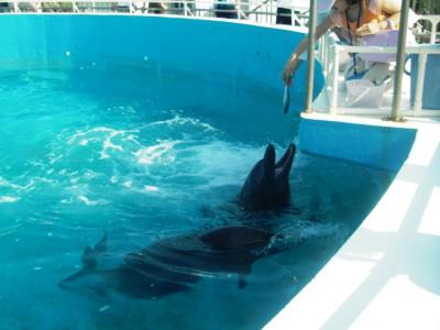 ☆油壺マリンパーク☆