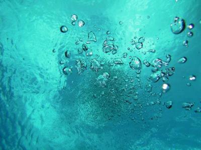 ダイビング　in 久米島