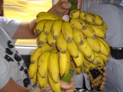 ネパール道中記?　カトマンズ?