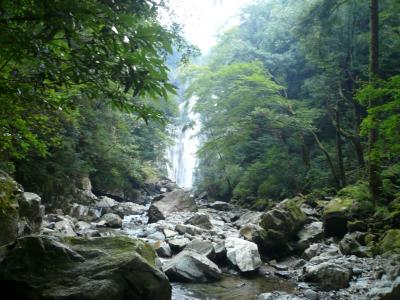 ちょいと歩けば、自然がいっぱい！矢研の滝！