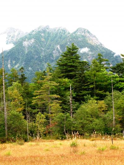 上高地･迎秋１　大正池から田代橋へ　☆焼岳山麓は草紅葉に
