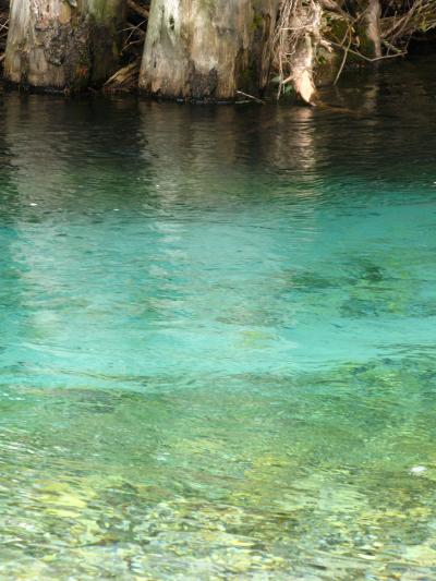 上高地･迎秋2　田代池から河童橋へ　☆清流の源は穂高連峰