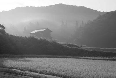 越後の秋、季節ははゆっくりと巡ります。稲刈り