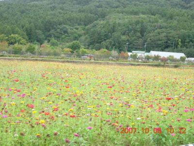 子連れ旅行　三日目