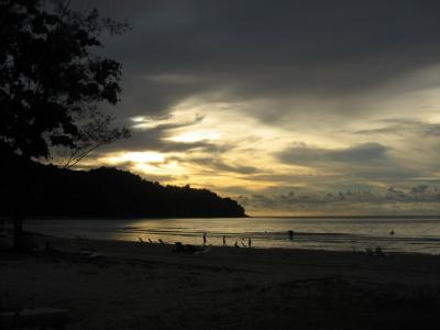 有給休暇の旅　～ボルネオ島～