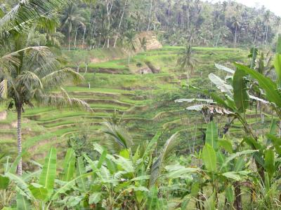 バリ島　観光でもしてみよう　その２　