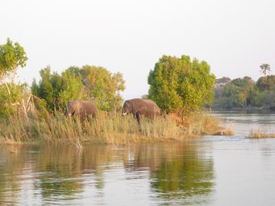 フラレちゃったの・・