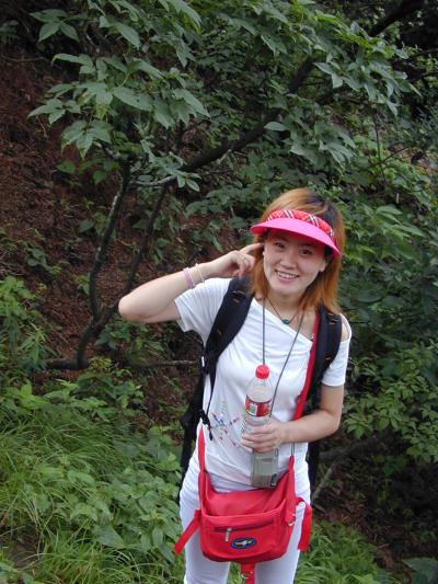 旅行会社のツアー・中国・黄山ハイキングの旅